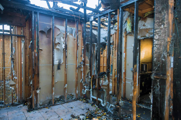 Professional Fire Damage Assessment technician working in Sandia Knolls, NM
